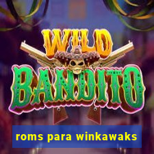 roms para winkawaks